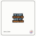 "I'm Sorry I Offended You With My Common Sense" Focal Beads