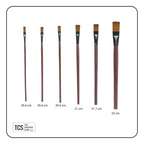 6pc Professional Paint Brush Set