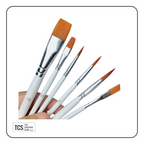 6pc Professional Paint Brush Set