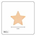 Decorative Wooden Star Blank