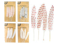 Decorative Heart Print Craft Feathers
