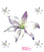 Rub On Transfers - Floral/Flower Designs