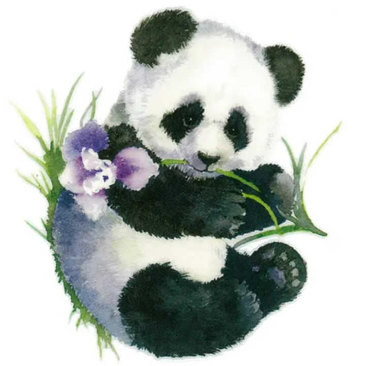 Rub On Transfers - Panda Design – The Crafters Stop