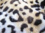 Animal Print Makeup Bag