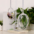 Hollow 2pce Treat Easter Egg - 3 Sizes