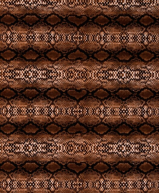 Coloured Snakeskin Pattern HTV