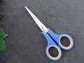 Stainless Steel Metal Scissors
