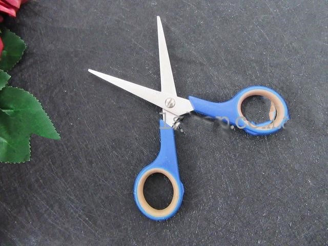 Stainless Steel Metal Scissors