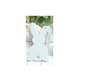 Acrylic White Rabbit/Bunny Blank